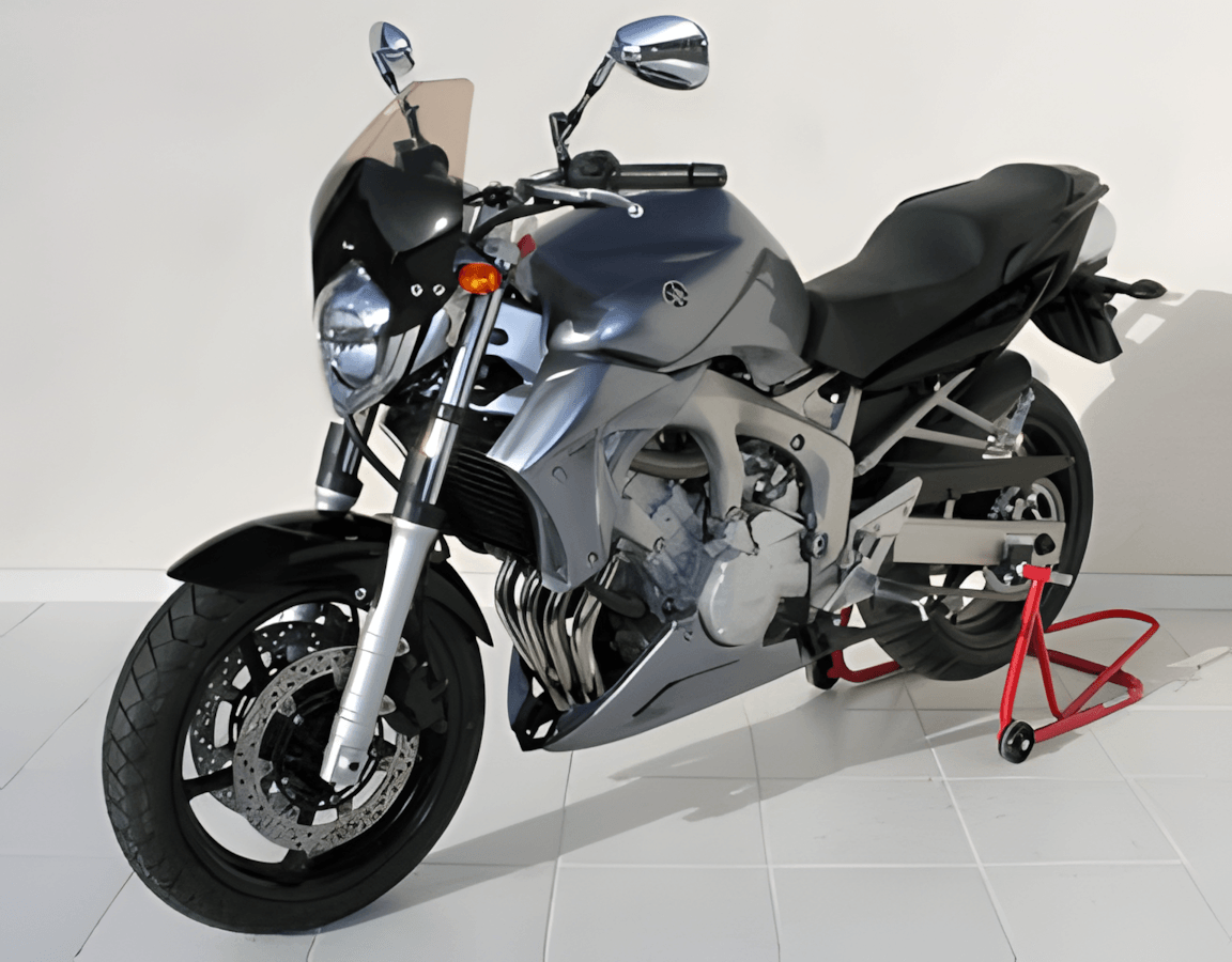 Ermax Nose windscherm Yamaha FZ6 N (2004-2007) E060501037 2