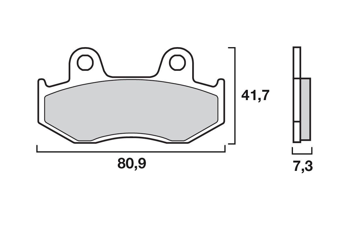 Brembo remblokken