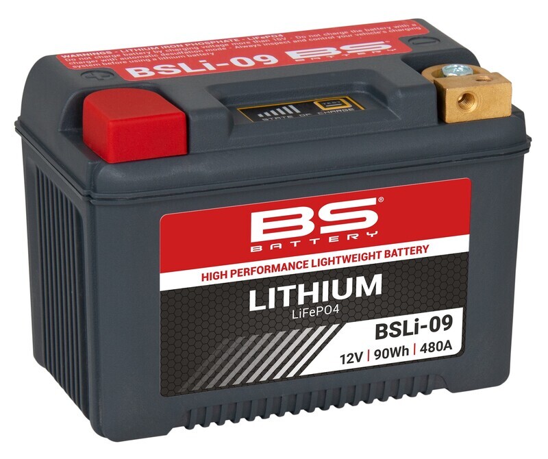 BSLi-09 lithium ion accu BI-1128230