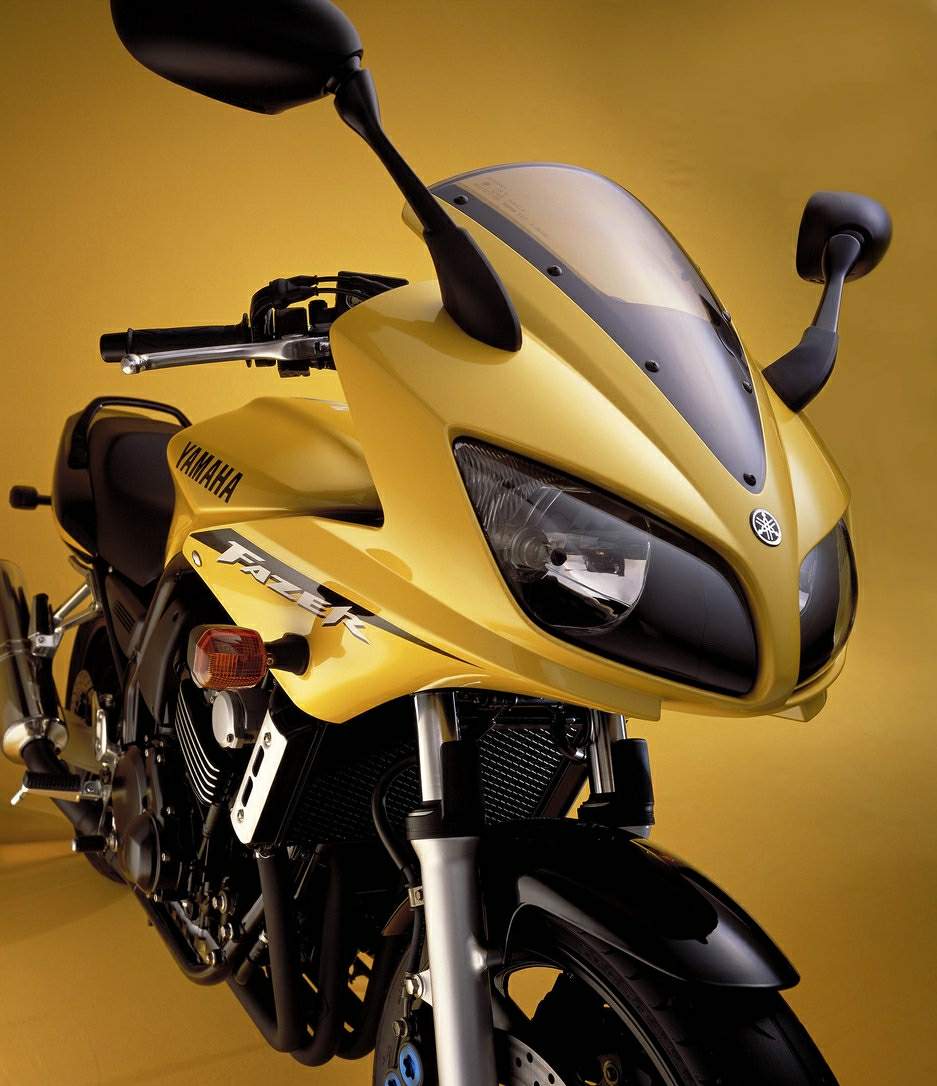 Ermax origineel windscherm Yamaha Fazer 600 (2002-2003) E020201059