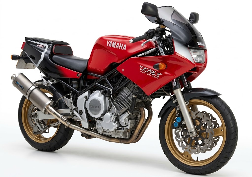 Ermax origineel windscherm Yamaha TRX850 (1996-2001) E020201038