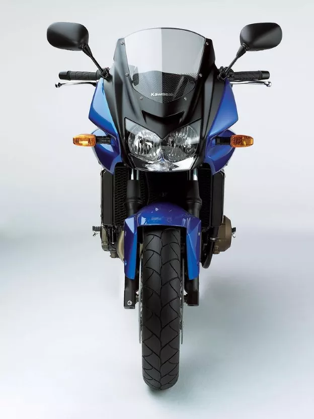 Ermax origineel windscherm Kawasaki Z750S / ZX-10R (2004-2008) E020301056