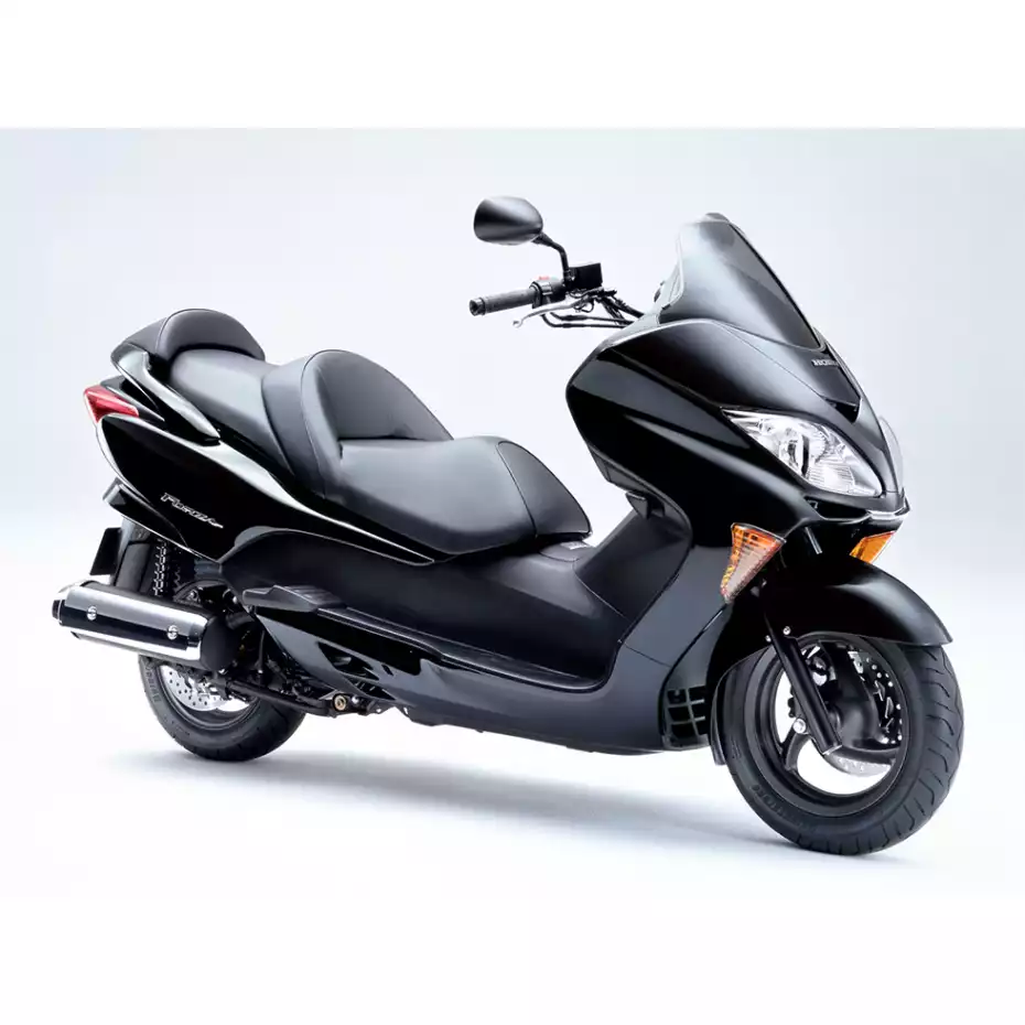 Ermax origineel windscherm Honda Forza 250 (2005-2007) E020101089