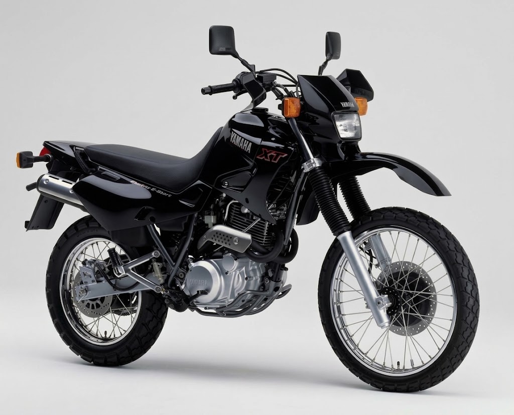 Ermax origineel windscherm Yamaha XTZ600 E (1990-2004) E020201020