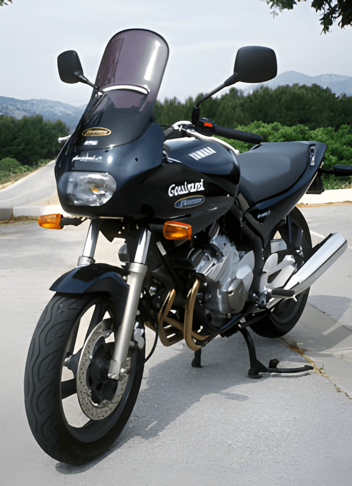 Ermax verhoogd windscherm Yamaha XJ600 S Diversion (1992) E010254023