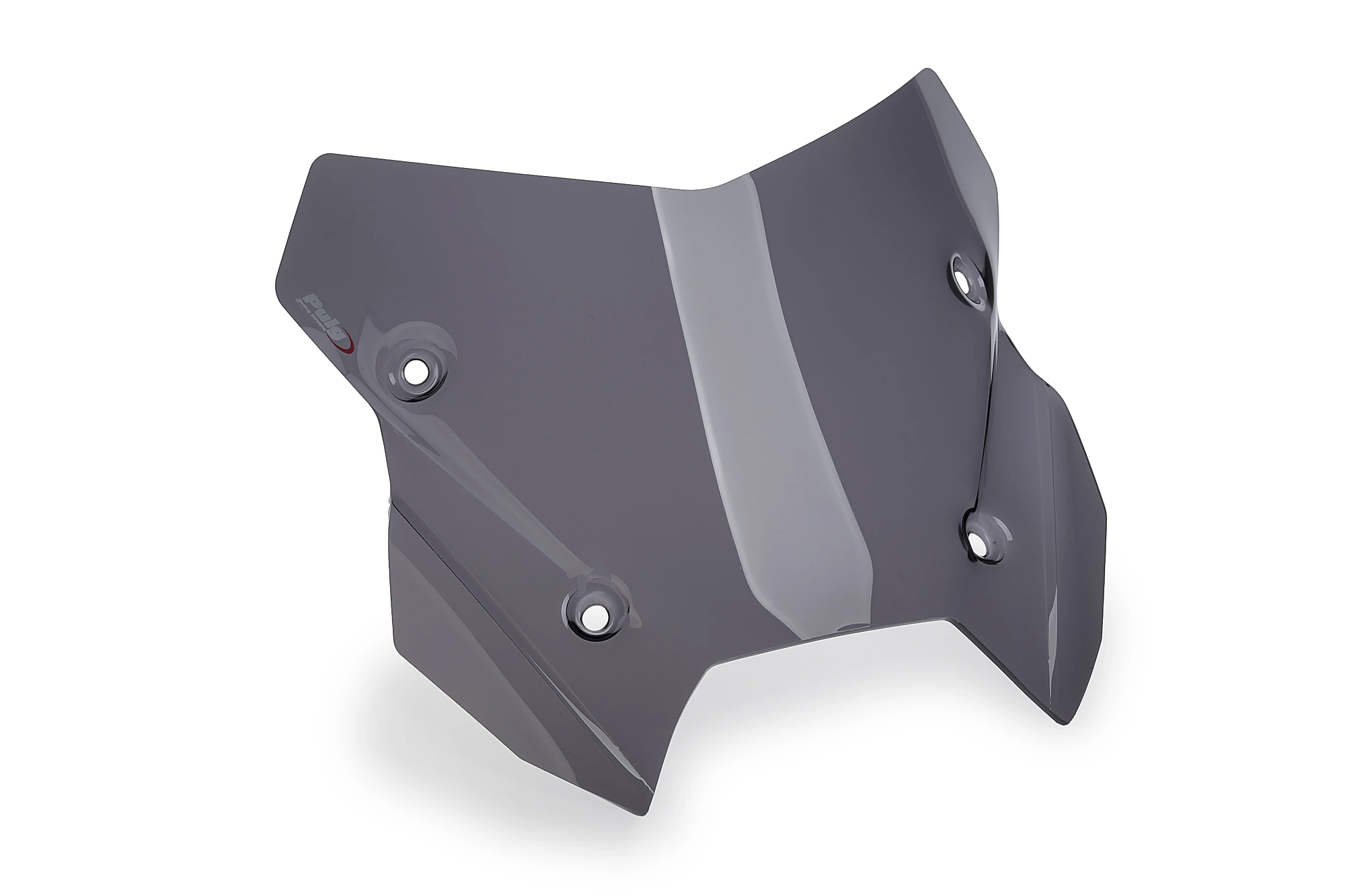 Puig Sport windscherm BMW R1300 RS (2025-) PU22680F 4
