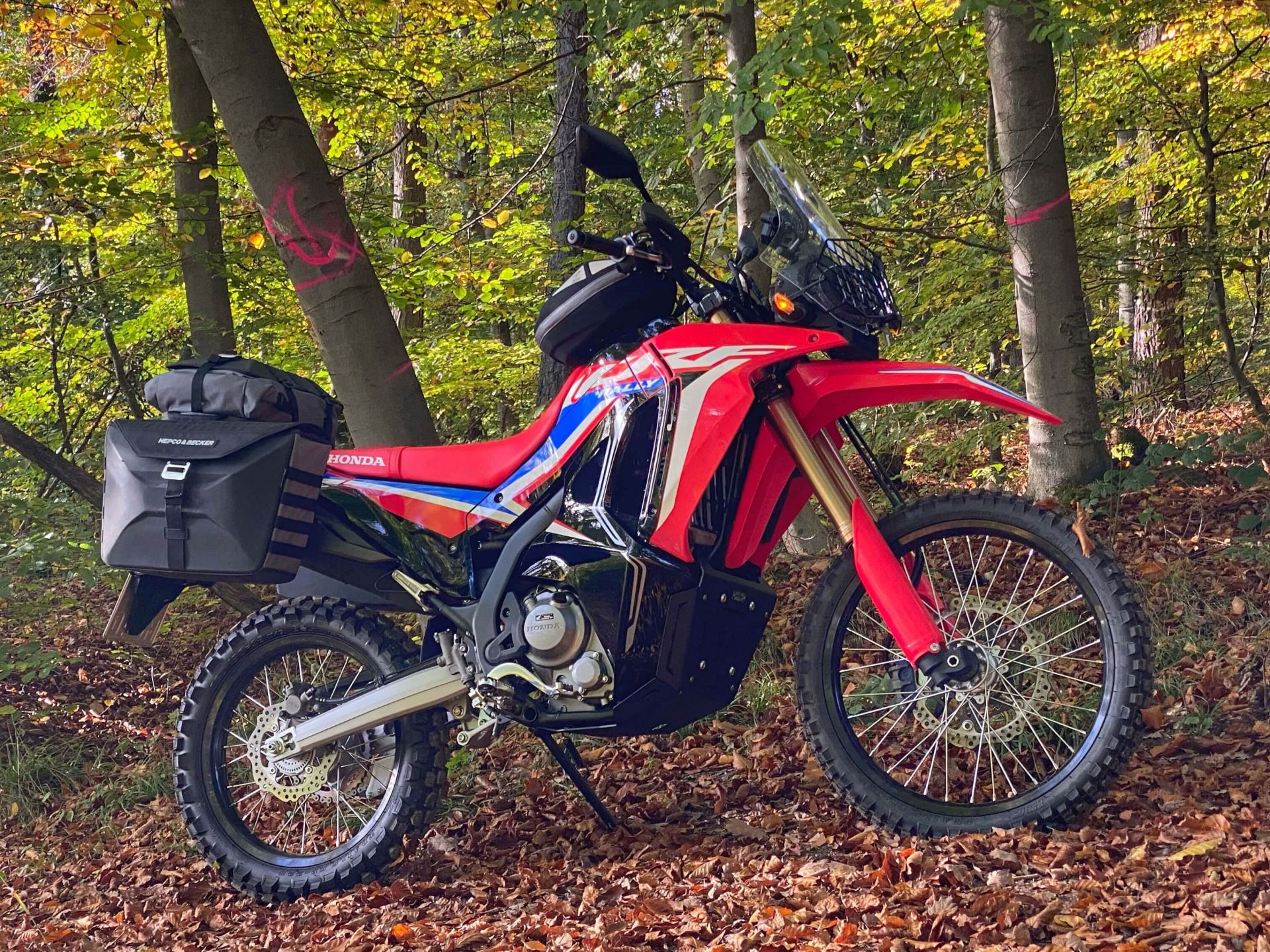 Hepco en Becker motorblok bescherming Honda CRF300 Rally (2021-) HE81095350001 2