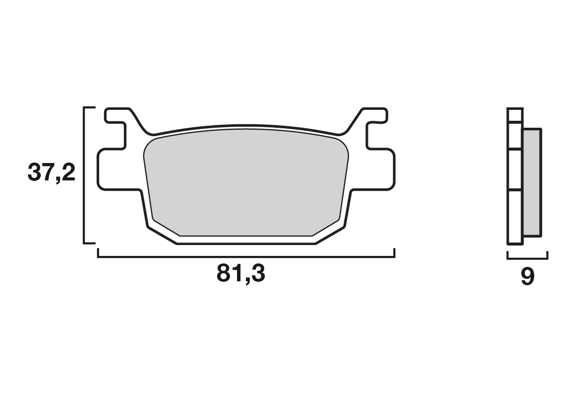 Brembo remblokken