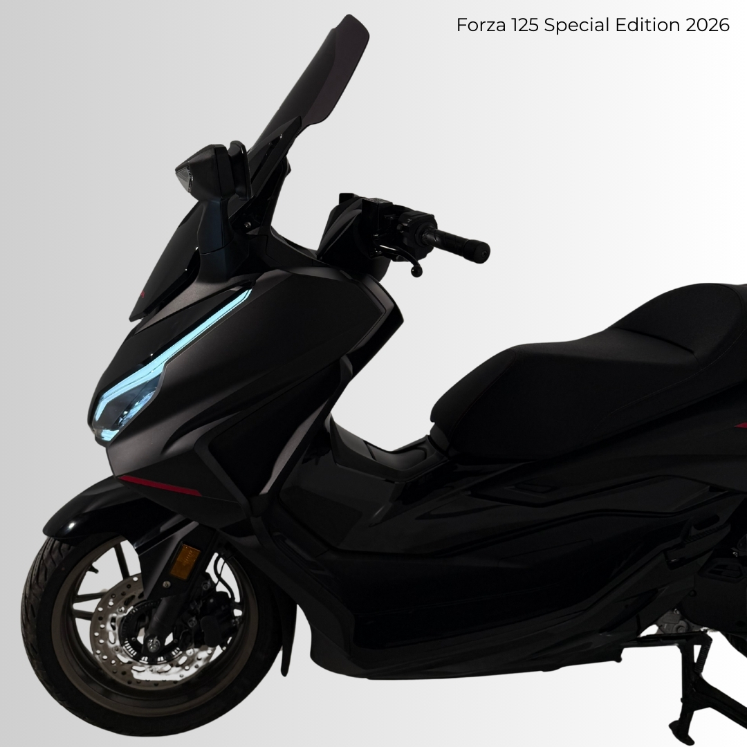 Ermax Sport windscherm Honda Forza 125 ABS (2021-) E0301T14-56 6