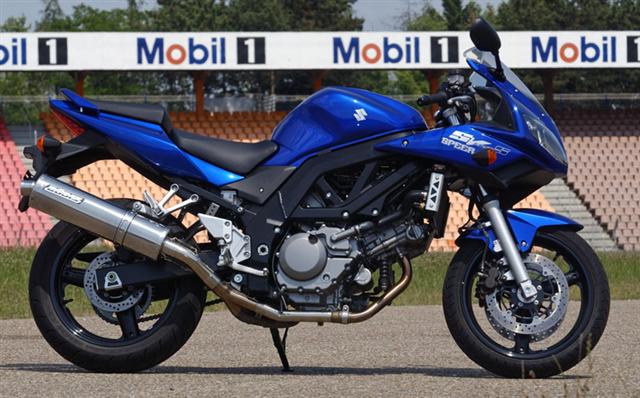 Bodis uitlaat Suzuki SV650 N / S 2003-2013 Oval 1 RVS