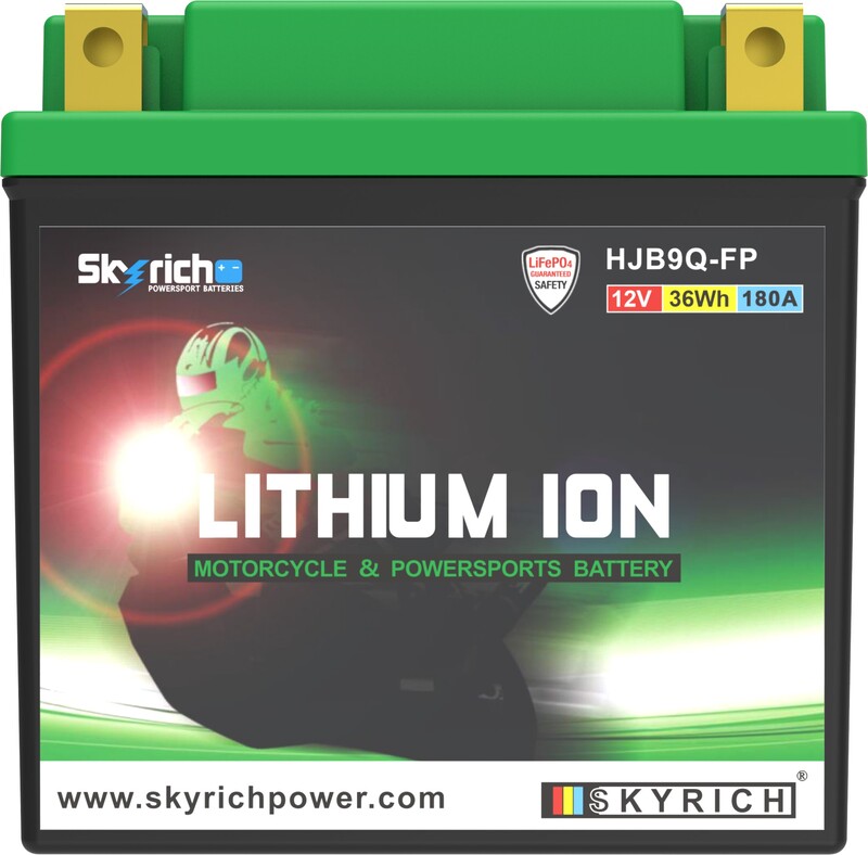Skyrich Lithium Ion accu LIB9 BI-1079106 2