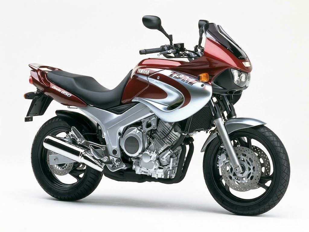 Ermax origineel windscherm Yamaha TDM850 (1996-2003) E020254039