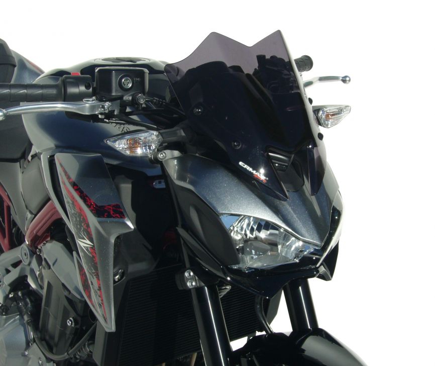 Ermax windscherm Kawasaki Z900 2017-2019 hypersport